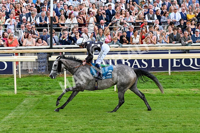 250726-Race 6-Likealot-1223 - Race 6 16.17pm Sky Bet Build A Bet Handicap