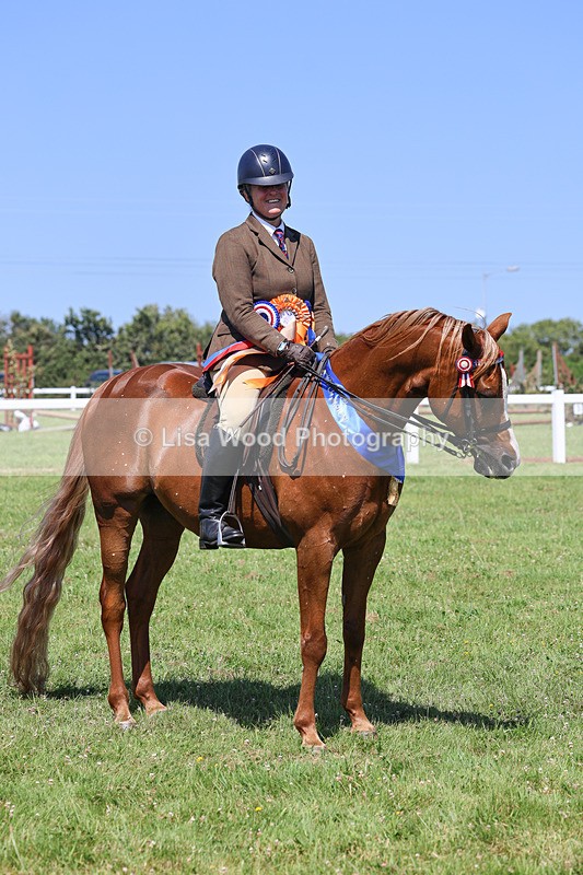 IMG_2268 - Part Bred Ridden Championship