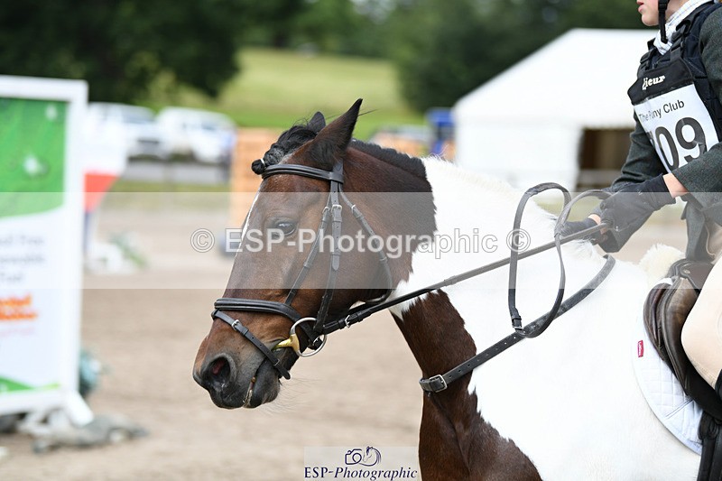 240825X-135430-34250 - 80cm SJ 12.45 to 14.00