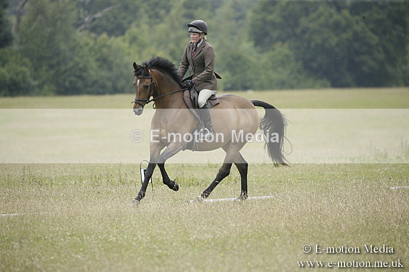 B230619-0624 - Bourne Valley Riding Club Summer Show 23/06/19