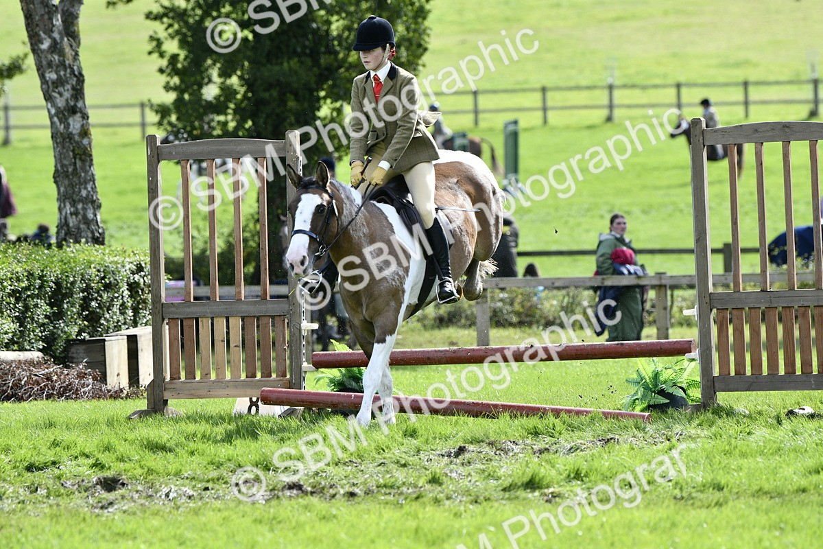 SBM_45695 - S33 - Working Hunter Pony
