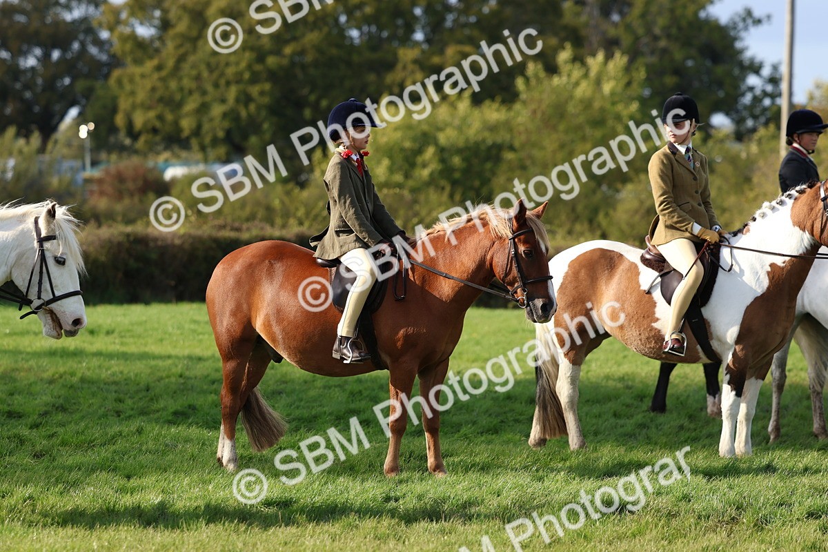 SBM_52477 - S13 - Pony Club Pony