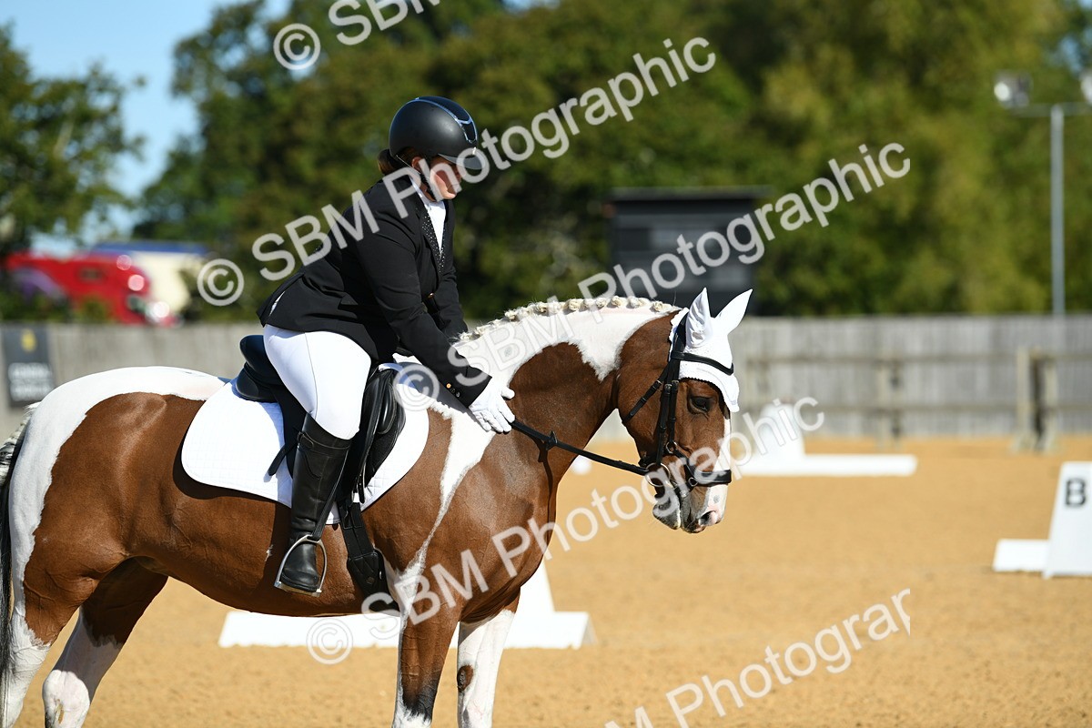 SBM_17936 - D4 - Small Tour Championship - Intro B