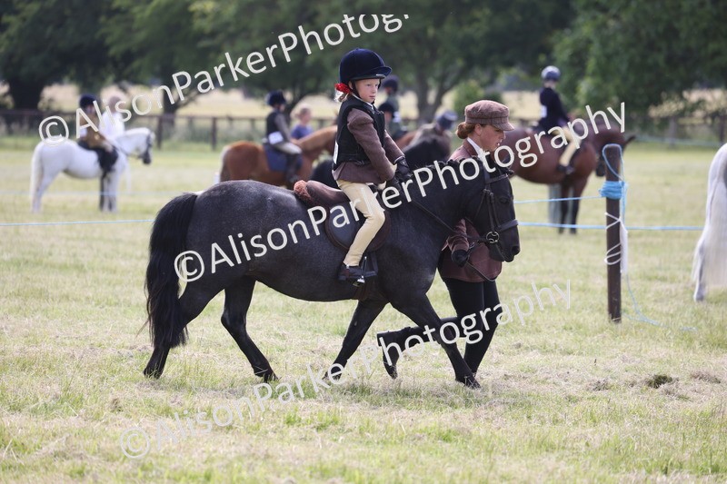 20260614-0604 - Class 20 - Beginners Working Hunter Pony