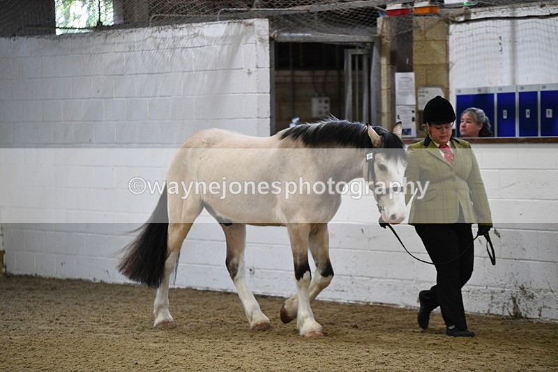 WJ5_3357 - Class 1 Youngstock