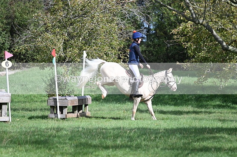 WJ7_8569 - 60cm Pairs