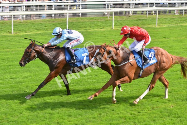 yr05092021r1-42 - Race 1 2.10pm IRE-Incentive It Pays To Buy Irish ebfstallions.com Novice Stakes