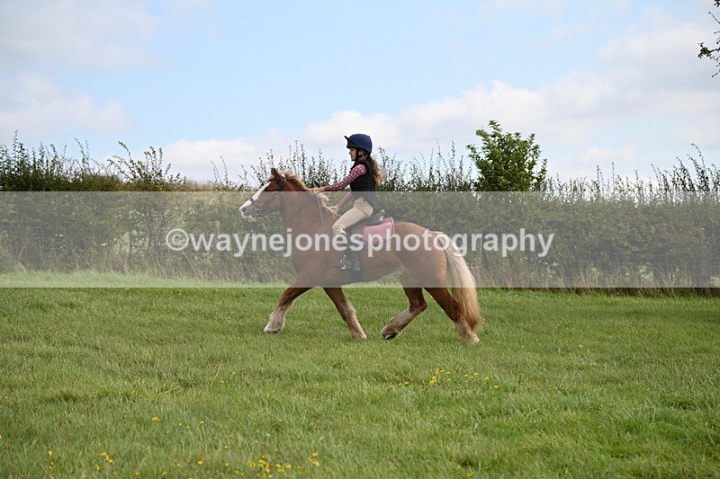 WJ6_7826 - Time 11:45 to 11:58