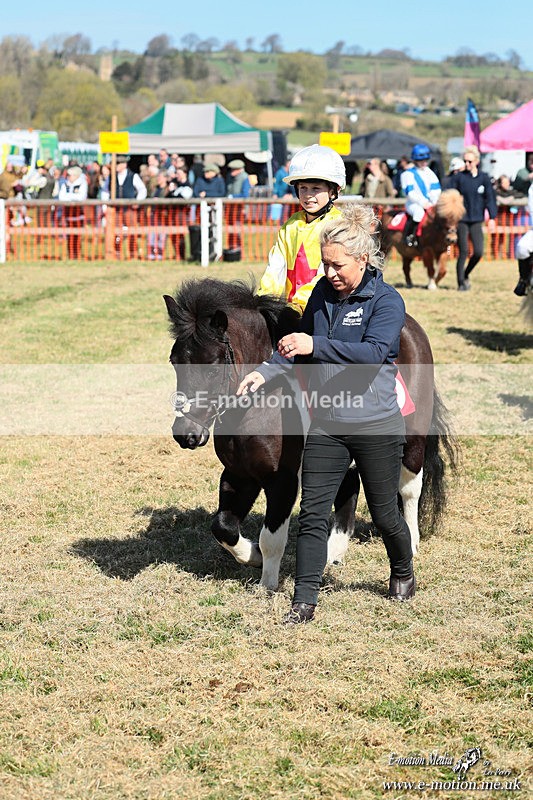 Shet 060426 115 - Shetland Pony Racing Paxford Races Easter Mon 06/04/26