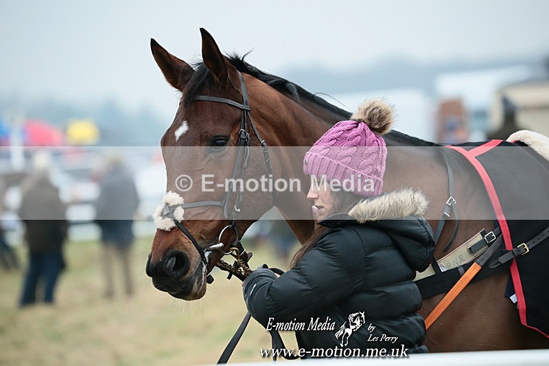 PtP 261123 38 - Hursley Hambledon Point-to-Point Larkhill 26 Nov 2023