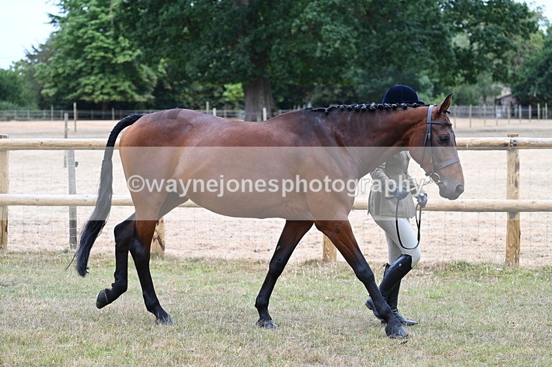 WJ7_8967 - Class 4a Prettiest Mare 14.2hh and over