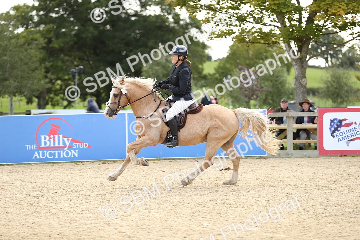 SBM_09995 - J36 - Veteran Rider 70cm