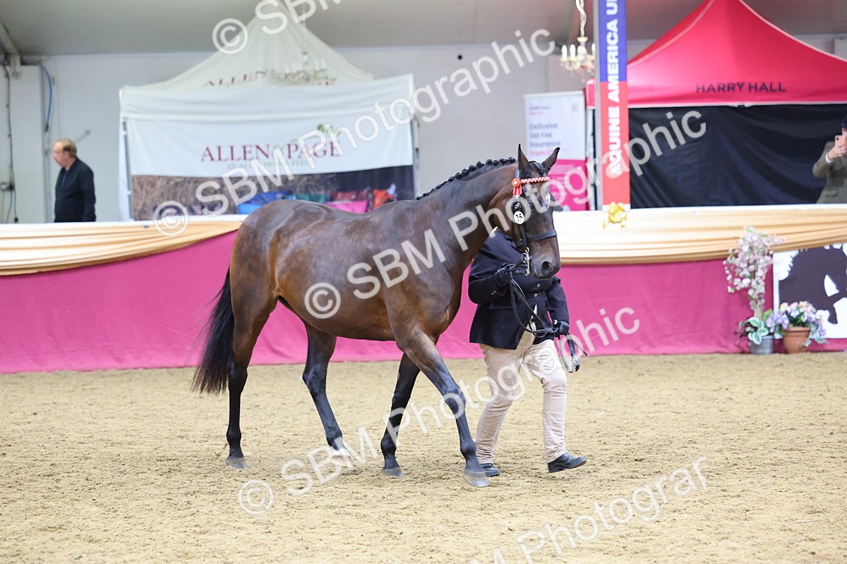 SBM_19491 - Class 901 - Supreme Final - IH Diamond