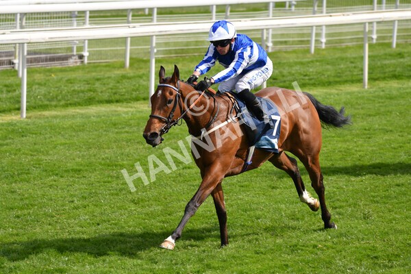 yr13052021r5-16 - Race 5 3.40pm British Stallion Studs EBF Westow Stakes