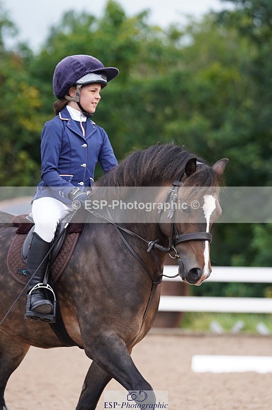 240809A-100008-00391 - Dressage Competition