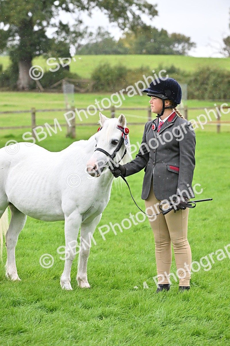 SBM_68608 - S42 - Junior Handler 9-12 Years