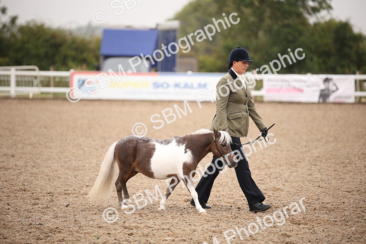 SBM_20155 - Class 703 - IH  Coloured