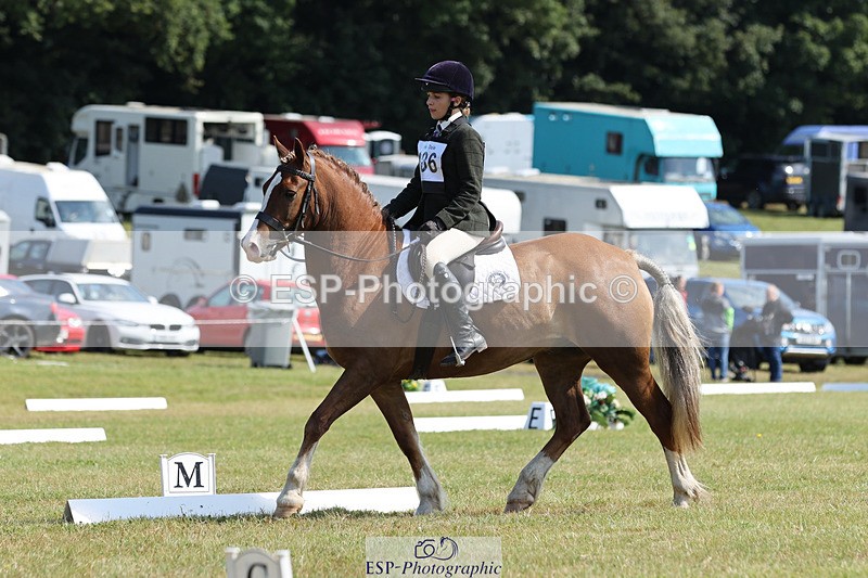 240824X-114725-26979 - D80 Section G and H 11.00 to 12.00