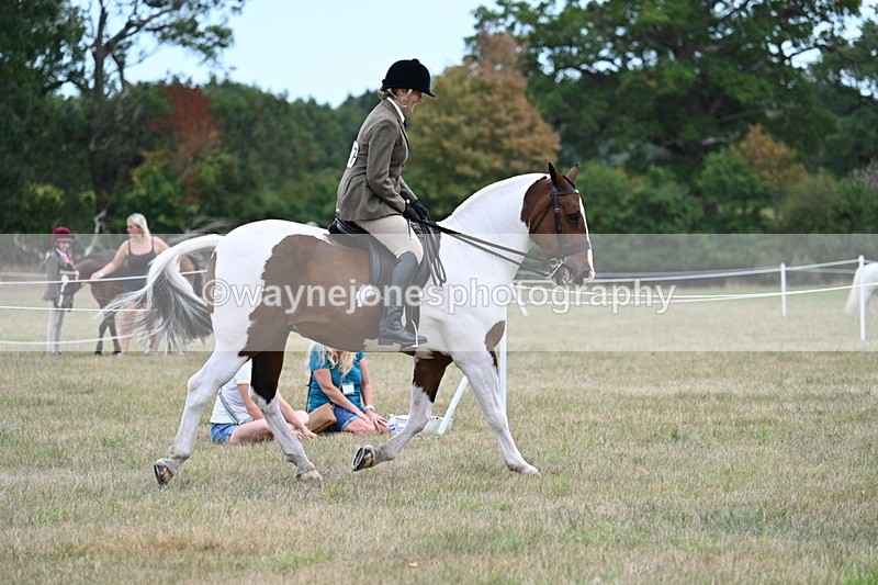 WJ7_4910 - Class 12 Ridden Cob