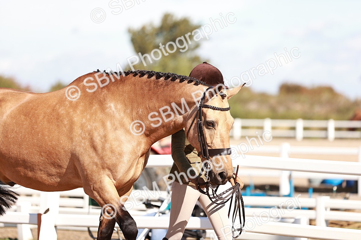 SBM_13271 - class 406 - IH Hunter