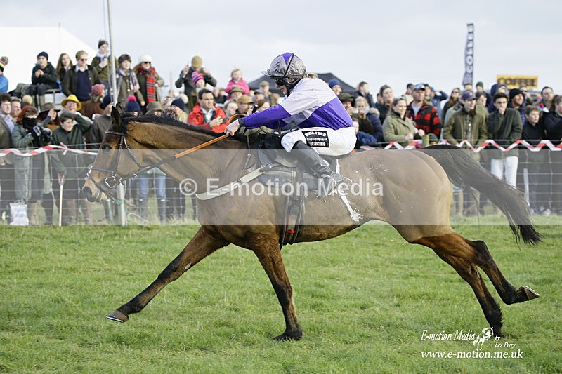 PtP 300122 541 - South Dorset Hunt - Point-to-Point Races 30/01/2022