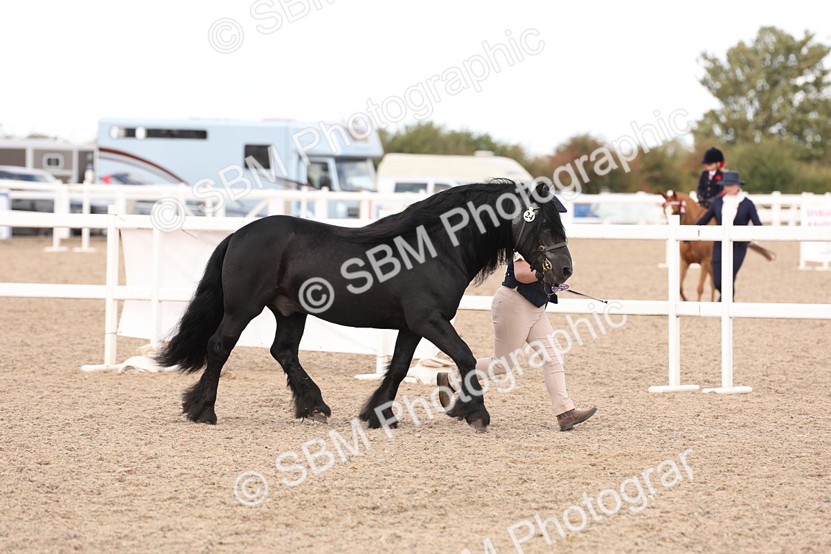 SBM_15149 - Class 209 - IH Veteran Pony
