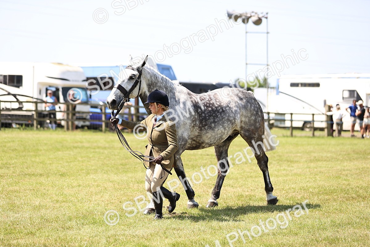 SBM_16163 - Class 79-80 - LIHS BSHA Rising Star Ridden Hunter
