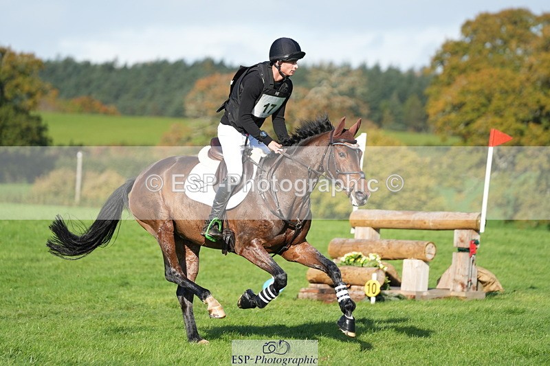 251024A-112123-07209 - A-017-Harrison.Chart