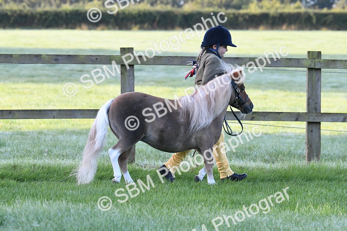 SBM_32610 - S15 - Condition & Turnout In Hand