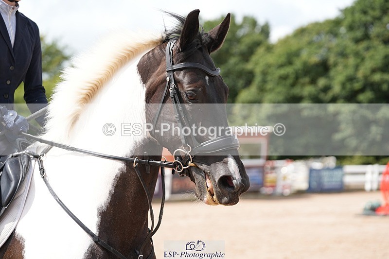 250731-114539-01543 - Cls 09  95cm Nat Am Qual