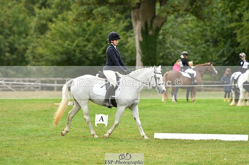 250820A-121946-05564 - 12 to 13.00