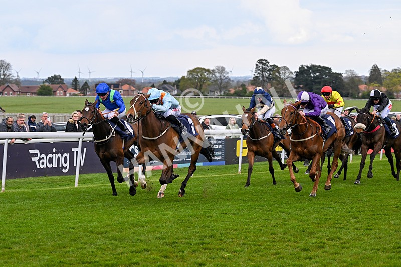 150426-Race 3-Bayside-6064 - Race 3