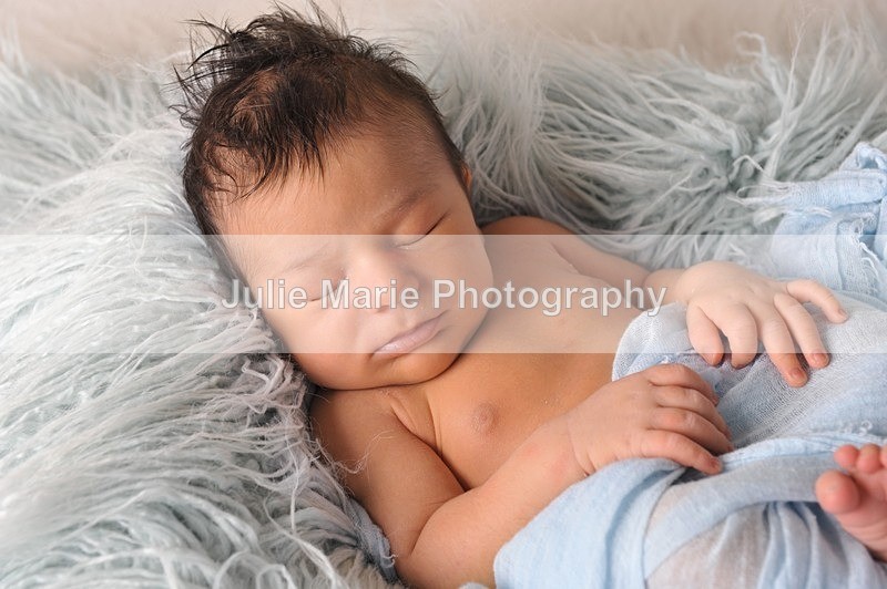 DSC_4891 - Sadie