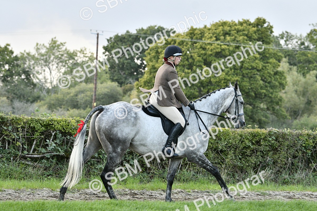 SBM_53641 - S14 - Riding Club Horse