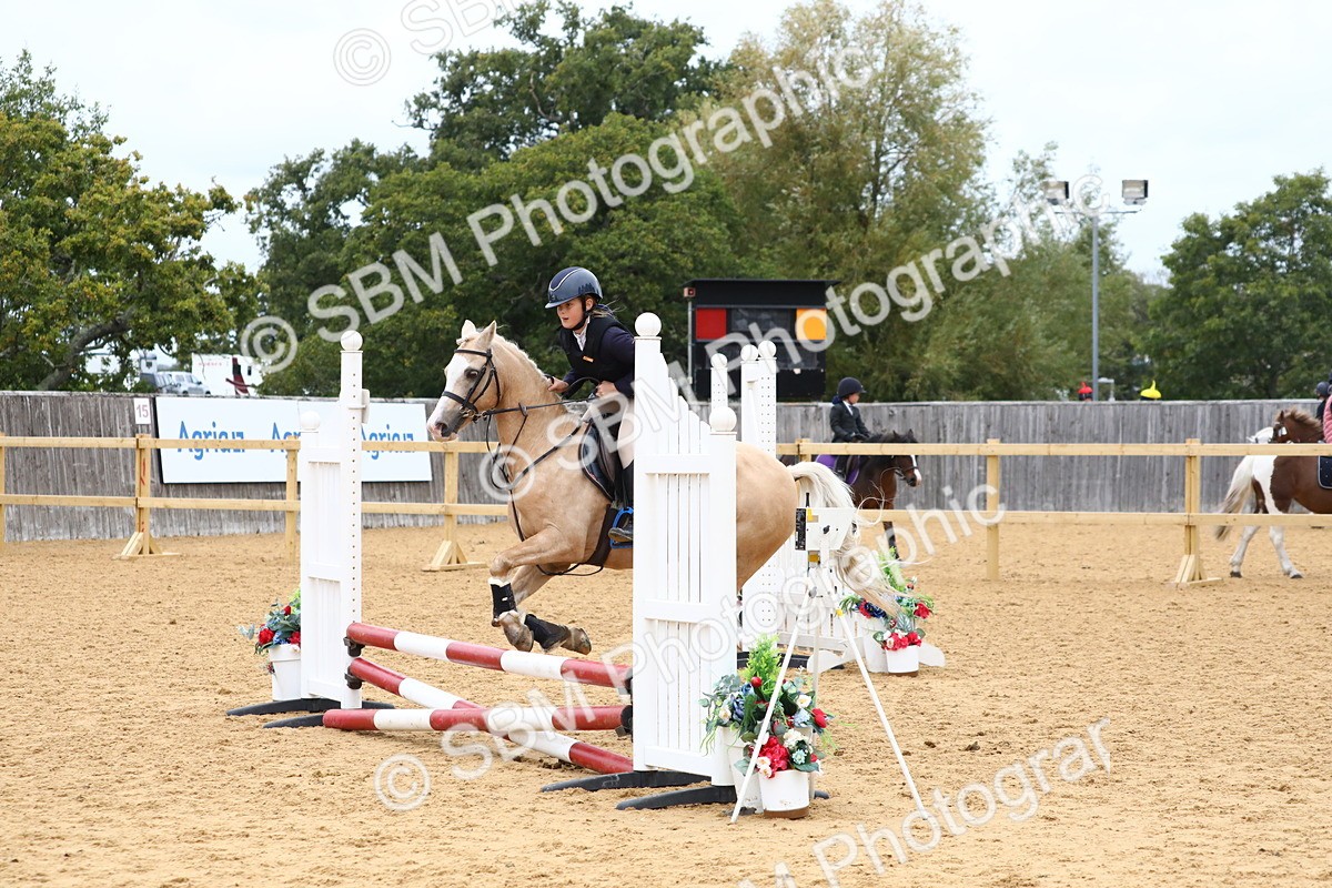 SBM_65091 - Supreme Championship 50cm 60cm 70cm