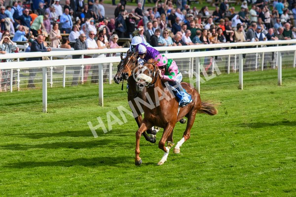 170523-Race 6-Mon Na Slieve-0792 - Race 6 4.45pm British EBF 40th Anniversary Novice Stakes