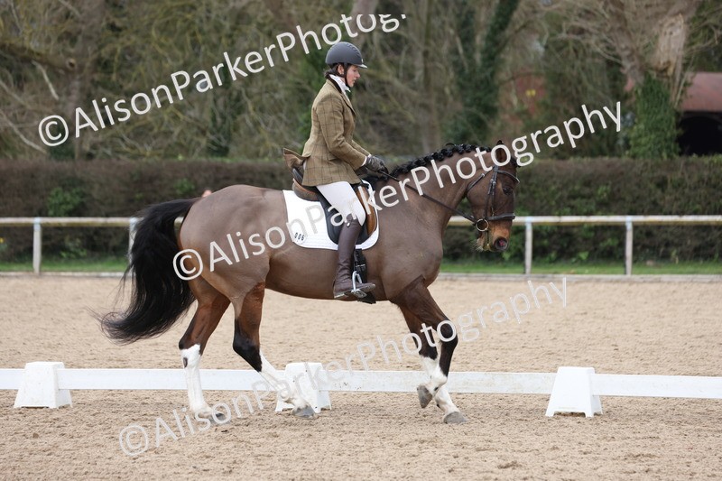 20260301-0338 - Class 3 - Novice 4