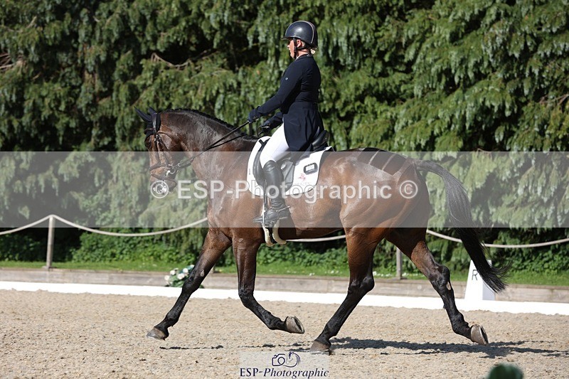 230526-172451-07973 - 178-RIDIRE_DORCHA-Lucy_Stimson-WEDTrotUp+DR