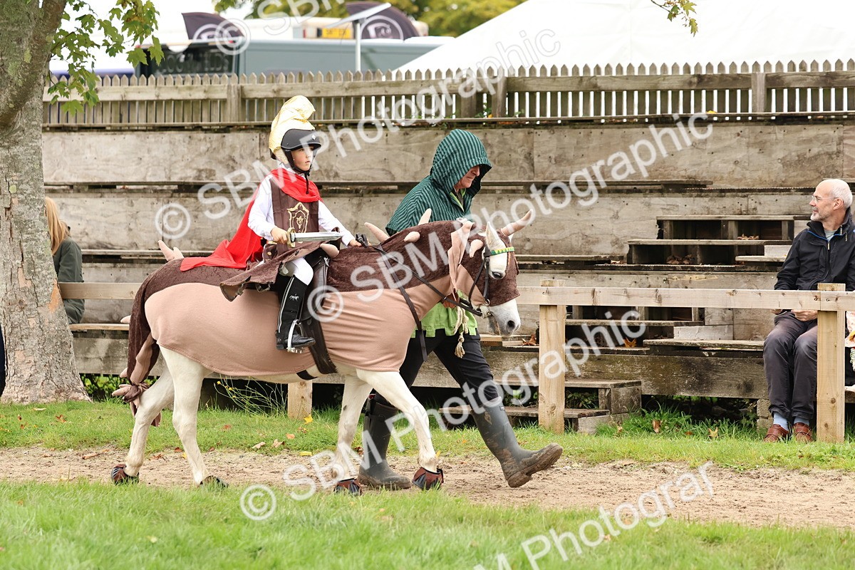 SBM_61624 - S37a - Fancy Dress Showing
