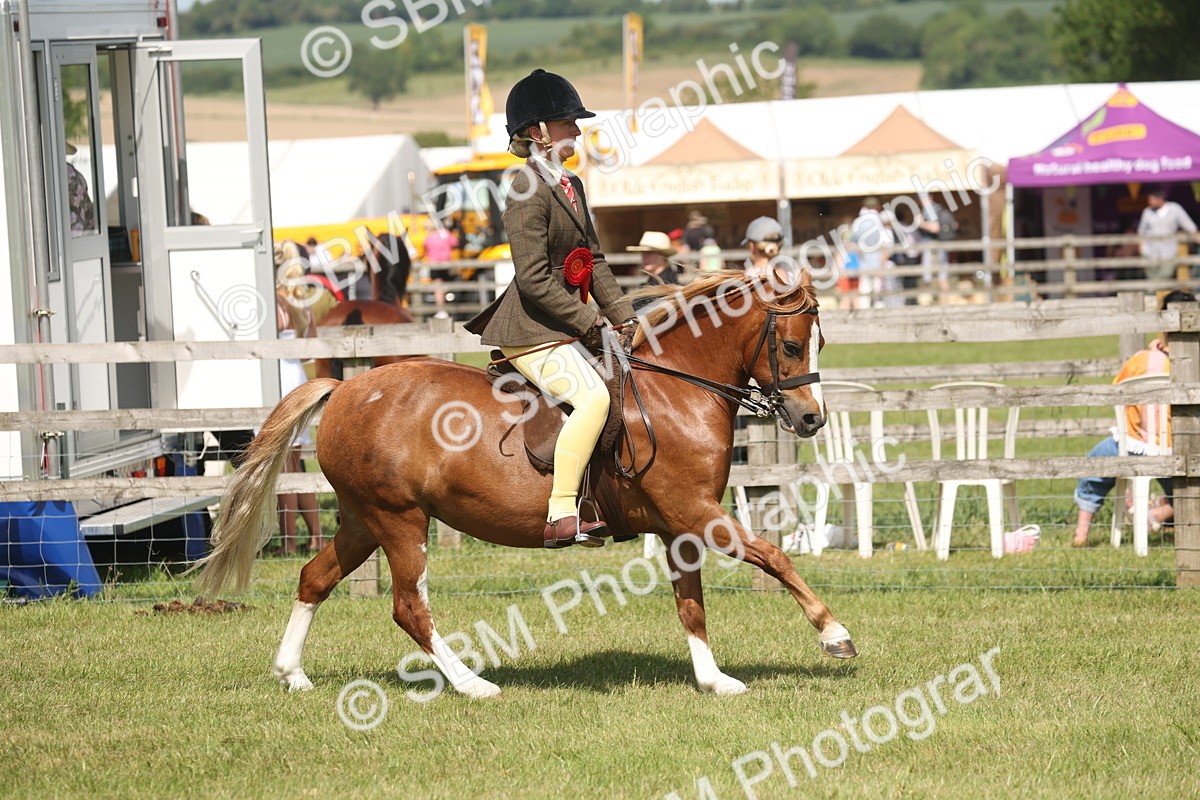 SBM_07676 - Class 26-30 - Mountain and Moorland Ridden