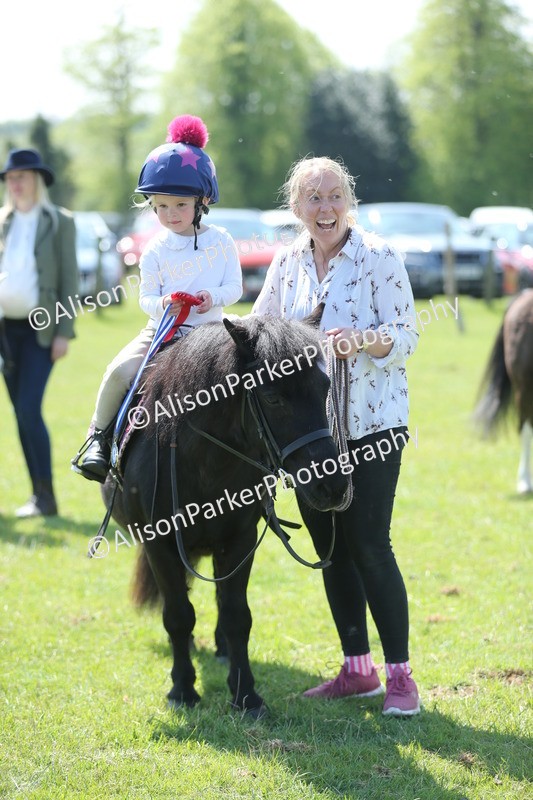 20250427-2743 - Class 6 - Pony Judge Would Most Like To Take Home