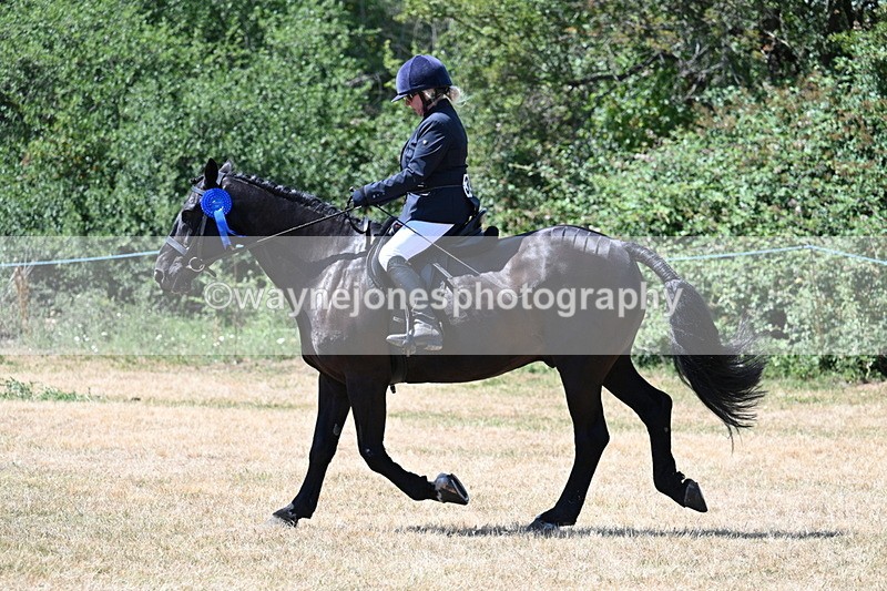 WJ7_3217 - Class 7 Riding Club Show Horse