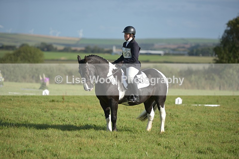 RAY_7351 - Class 2B: Trekenning Open: Dressage