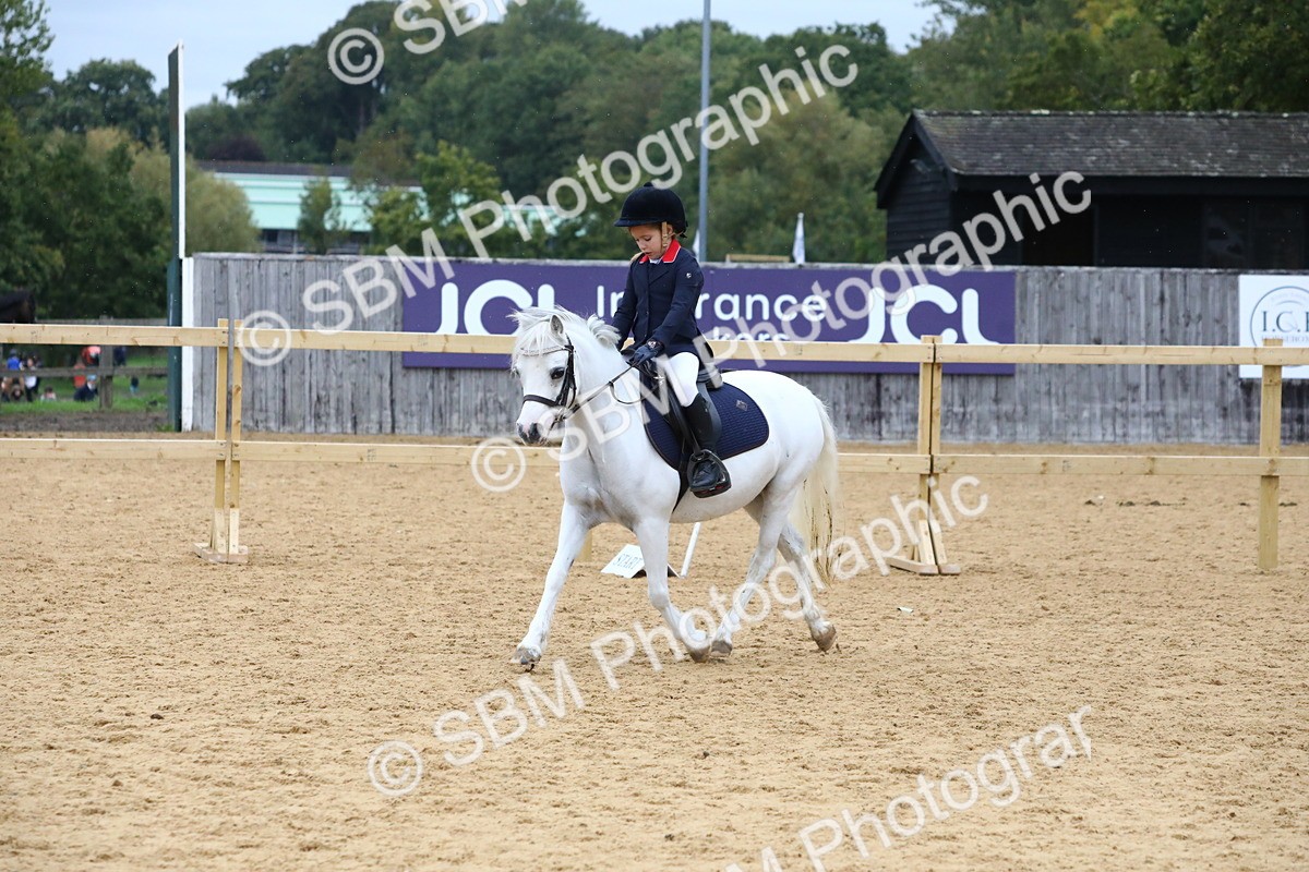 SBM_68377 - J3b - Mini Tour Junior Pony 40cm Championship