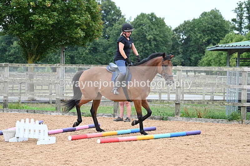 WJ7_8264 - Poles 11:00am