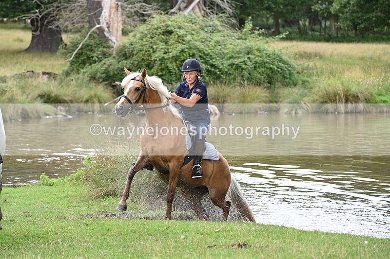 WJ7_0676 - Time at Water 09:19 to 10:04