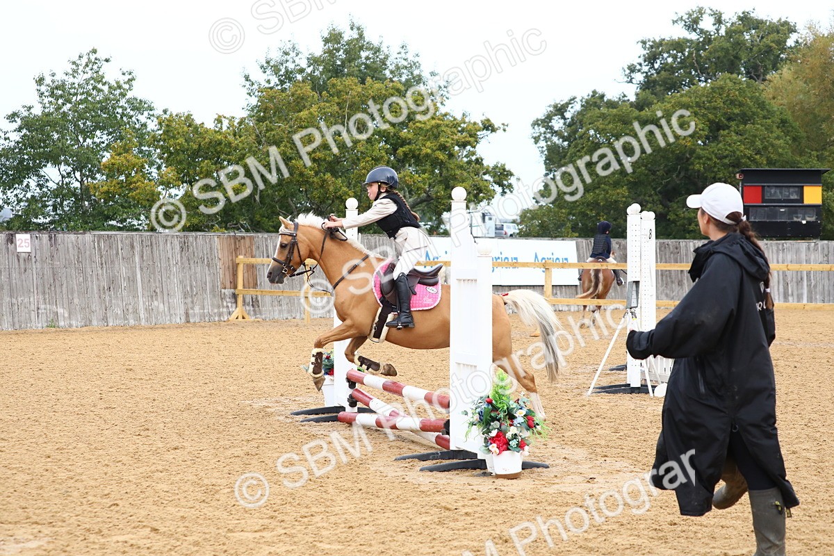 SBM_60008 - J63 - Junior Pony 50cm Championship