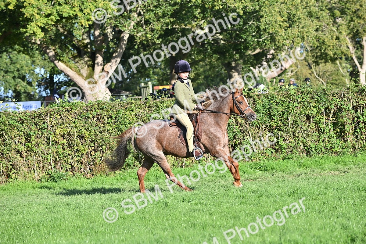 SBM_53044 - S23 - First Ridden Mountain & Moorland Pony