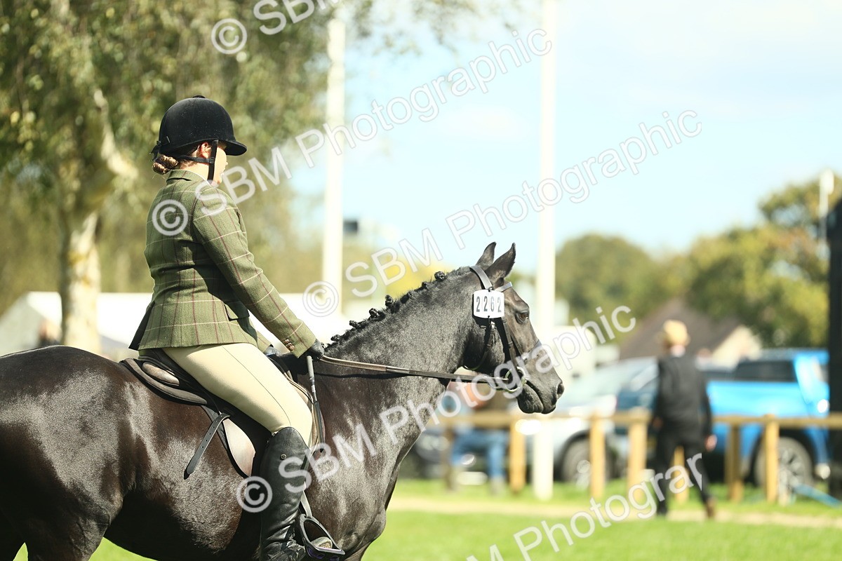 SBM_42081 - S29 - Novice & Newcomers Working Hunter Pony