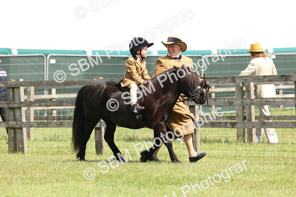 SBM_05171 - Class 24-25 - Mountain & Moorland In Hand Lead Rein and First Ridden